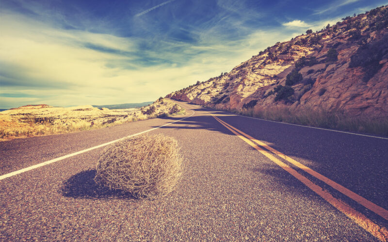 48421342 - vintage toned tumbleweed on empty road, travel concept picture.